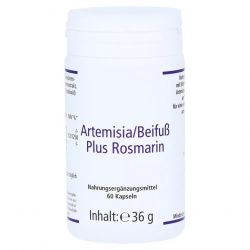 Артемизинин 150 мг капс. 60шт в Брянске и области фото
